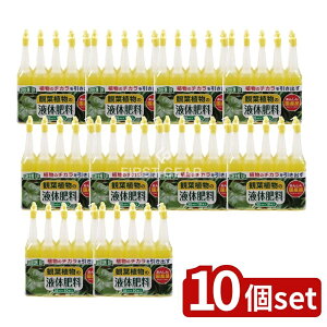 _r[TL^y10Zbgz v t̔엿(ϗtAp) [Pie/10{] | t̔엿 ϗtA Ize 엿 {  m T{e A ~ Ap ی ƒ؉ 