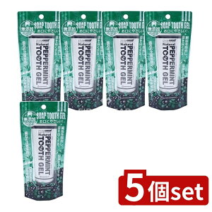 �_���r���[���T�L�^�y5�Z�b�g�z �n�̉��� �i�`��������������݂͂����W�F�� [�P�i���e��/80g] | �n�̉��� �i�`�������������� �݂͂����W�F�� ���u���V �W�F���n�~�K�L �i�`������������