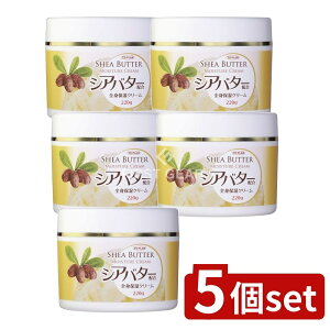 y5Zbgz ̔ VAo^[zSgێN[ [Pie/220g] | gv VAo^[ SgێN[ XLCX`[N[ VAo^[z qA_ t 