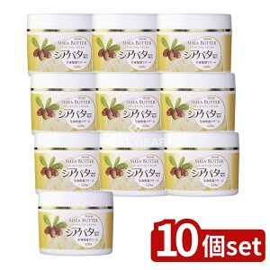 y10Zbgz ̔ VAo^[zSgێN[ [Pie/220g] | gv VAo^[ SgێN[ XLCX`[N[ VAo^[z qA_ t 