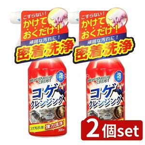 _r[TL^y2Zbgz Fa Tipo's RQNWO [Pie/300ml] | Fa NWO RQ   RQ p { Y Ȃ  ܓ ĂO