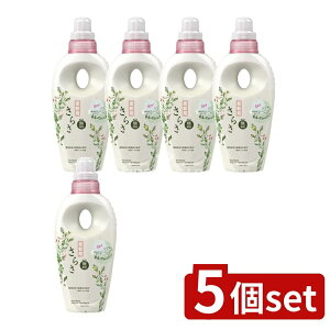 y5Zbgz P&G 炳_ { [Pie/530ml] | 炳 _ AR Y   ߗ sA\[v ɗD pi pi 炳 _dグ ߗޗp_ P&G 