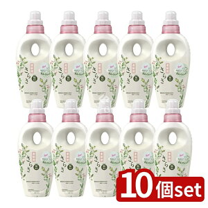 y10Zbgz P&G 炳_ { [Pie/530ml] | 炳 _ AR Y   ߗ sA\[v ɗD pi pi 炳 _dグ ߗޗp_ P&G