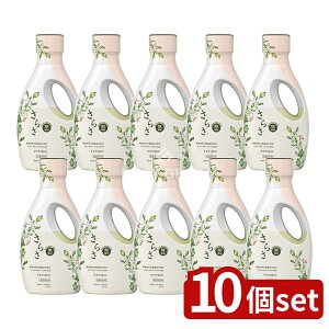 �_���r���[���T�L�^�y10�Z�b�g�z P&G ���炳��܃W�F���{�� [�P�i���e��/600g] | P&G ���炳 ������ ���k�n ���� �V�R��򐬕� �W�F�� ���O�p �ƒ�p �N���[�j���O ���{�� ����t�� �ߗޗp ��