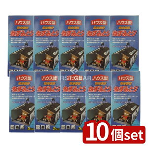 y10Zbgz ۑPiY DN͂˂݂ƂnEX^ [Pie/2] | htB ˂݂Ƃ ˂ݕߊl nEX^˂݂Ƃ S˂݂Ƃ 䏊p ڂȂ ptBbg Â