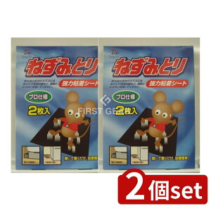 _r[TL^y2Zbgz ۑPiY ͂˂ݎ [Pie/2] | lY~쏜 lY~ ͔SV[g O SV[g 쏜V[g ˂ݕ߂ ˂݃gbv q