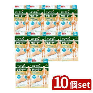 _r[TL^y10Zbgz a oeR[T|[^[ eѐpӂ~傫߃TCY p[x[W [Pie/1] | oeT|[^[ e T|[^[  T|