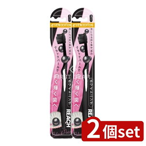 y2Zbgz Xet@j[ϕi [` zCgjO ubNp[ ƂĂRpNg ӂ [Pie/1{] | Xet@j[ zCgjO ubNp[ uV 