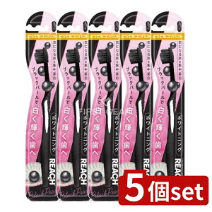 y5Zbgz Xet@j[ϕi [` zCgjO ubNp[ ƂĂRpNg ӂ [Pie/1{] | Xet@j[ zCgjO ubNp[ uV 