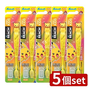 y5Zbgz Xet@j[ϕi [`LbY |PbgX^[tBMAt [Pie/1{] | [`LbY uV |P uV炩 tBMAt [`u