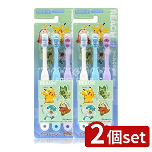 _r[TL^y2Zbgz Xet@j[ϕi [`LbY(V[)|P͂2020 [Pie/3{] | Xet@j[ [`LbY nuV |P ǂ