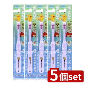 _r[TL^y5Zbgz Xet@j[ϕi [`LbY|P͂p [Pie/1{] | [` LbY |P uV Xet@j[ 킢 |P 