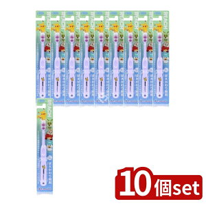 _r[TL^y10Zbgz Xet@j[ϕi [`LbY|P͂p [Pie/1{] | [` LbY |P uV Xet@j[ 킢 |P 