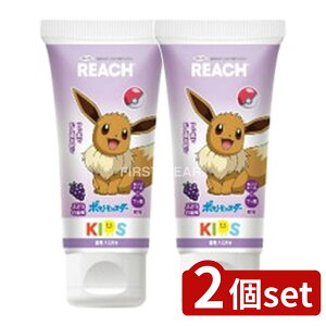 y2Zbgz Xet@j[ϕi [`LbY݂(Ԃǂ) [Pie/60g] | Xet@j[ [` ݂ LbY Ԃǂ  WF tbf LVg[ lC L