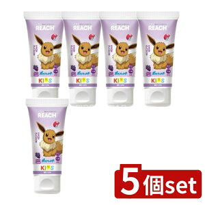 y5Zbgz Xet@j[ϕi [`LbY݂(Ԃǂ) [Pie/60g] | Xet@j[ [` ݂ LbY Ԃǂ  WF tbf LVg[ lC L