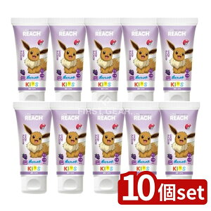 y10Zbgz Xet@j[ϕi [`LbY݂(Ԃǂ) [Pie/60g] | Xet@j[ [` ݂ LbY Ԃǂ  WF tbf LVg[ lC L