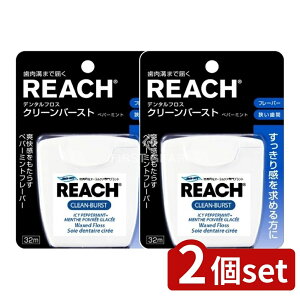 _r[TL^y2Zbgz Xet@j[ϕi [`f^tXN[o[XgPMT32m [Pie/32m] | [` f^tX tX N[o[Xg yp[~g I