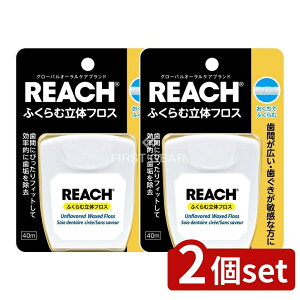 _r[TL^y2Zbgz Xet@j[ϕi [`ӂޗ̃tX [Pie/40m] |  f^tX ӂ [` Xet@j[ ԃtX f^PA_炩