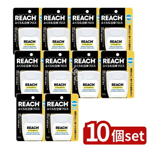 _r[TL^y10Zbgz Xet@j[ϕi [`ӂޗ̃tX [Pie/40m] |  f^tX ӂ [` Xet@j[ ԃtX f^PA_