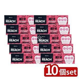 y10Zbgz Xet@j[ϕi [`gvPA݂ [Pie/120g] | Xet@j[  gvPA o CPC DPG vitE 򕔊Oi  oPA f^P