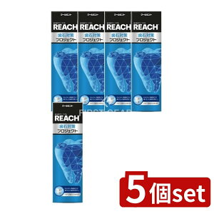 _r[TL^y5Zbgz Xet@j[ϕi [`Α΍vWFNg݂ [Pie/120g] | Xet@j[ ݂ [`  vWFNg 򕔊Oi 