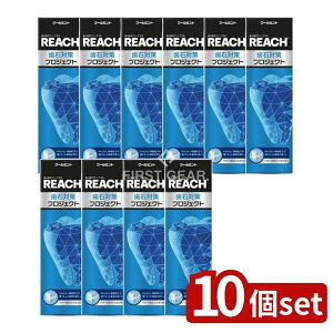 _r[TL^y10Zbgz Xet@j[ϕi [`Α΍vWFNg݂ [Pie/120g] | Xet@j[ ݂ [`  vWFNg 򕔊Oi 