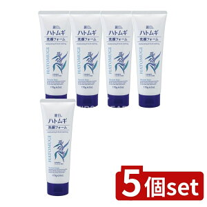 _r[TL^y5Zbgz F 픒 ngM tH[ [Pie/170g] | 픒 tH[ ngM 痿 ϕi A { qA_ A~m_ 玉  