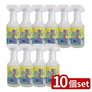 _r[TL^y10Zbgz XR[L !!JVbXv[ [Pie/300ml] | JV JVXv[ Xv[ Xv[^Cv { Op G 