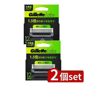 y2Zbgz P&G Wbg{po[ڑ֐n [Pie/12] | E ֐n Wbg 䓁 Y Gillette Labs J~\ jp E֐n O[~O Sn PA tFCX