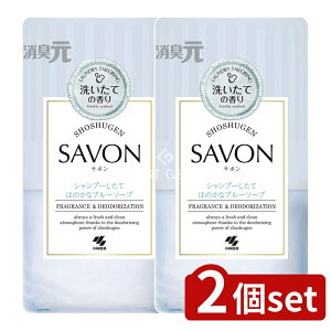 y2Zbgz ѐ LSAVON 󂵂Ăق̂ȃu[\[v [Pie/400ml] | L L T{ Vv[  F ƒp L tB^[ gCp S~L pi 