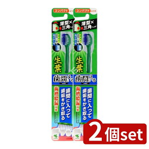 y2Zbgz ѐ tԂɓuV RpNg ӂ [Pie/1{] | t uV ԃuV ӂ RpNg  | I[PA { ѐ XpC 