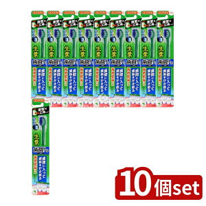 y10Zbgz ѐ tԂɓuV RpNg ӂ [Pie/1{] | t uV ԃuV ӂ RpNg  | I[PA { ѐ XpC 