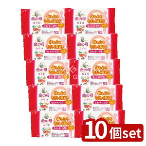 y10Zbgz ѐ ̕JC\ [Pie/10] | ѐ JC ĝăJC h ~ gJC \JC ̉ێ  ȂpJC pJC t