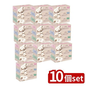 _r[TL^y10Zbgz 剤 GG[RbgtB[eBV150W [Pie/3] | 剤 GG[ eBbV y[p[ RbgtB[ ӂ 炩 