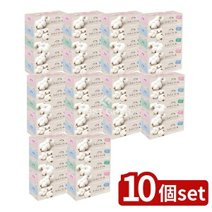 _r[TL^y10Zbgz 剤 GG[RbgtB[eBV150W [Pie/5] | 剤 eBbV RbgtB[ GG[ ܂Ƃߔ _炩 eBbV