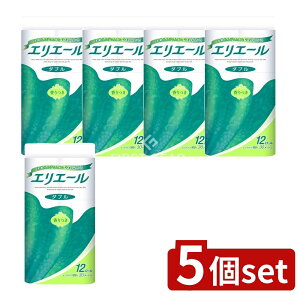 y5Zbgz 剤 GG[gCbgeBV[_u [Pie/12] | gCbgy[p[ GG[ _ugCbgy[p[ gCbgeBV[ G pi 