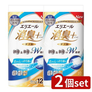 _r[TL^y2Zbgz 剤 GG[L+gCbgtbVNA_u [Pie/12] | GG[ gCbgy[p[ gCbgeBV[ gCbg 