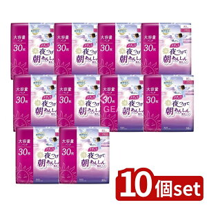 y10Zbgz 剤 i`Ē񂵂zpbh26Z` [Pie/30] | i`zpbh i`Ē񂵂Apbh pizV[g { 