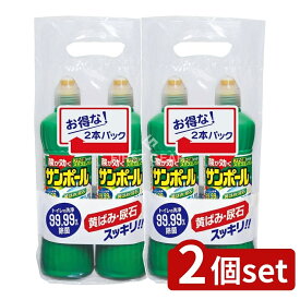 ＼レビュー特典有／【2個セット】 大日本除虫菊 サンポールV 2本パック [単品内容量/500ml] | KINCHO サンポール トイレ洗剤 除菌 洗浄 酸性洗剤 トイレ掃除 トイレ用洗剤 便器洗浄 スミズミノズル さわやかな香り グリーン液 トイレクリーナー