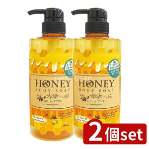 y2Zbgz Ό ݂͂{fB\[vICC^Cv{ [Pie/500ml] | ݂͂{fB\[v {fB\[v ICC Ό _CC` Ό { nj[tHXg 