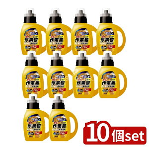 y10Zbgz Ό h[Nu ƕpt̐ { [Pie/800g] | h[Nu  ƕ t̐  pi uܕsgp pr { 