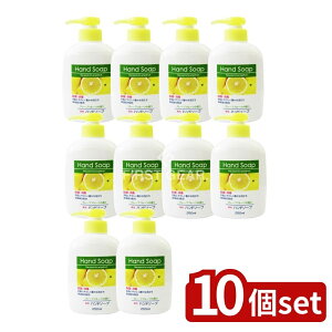 y10Zbgz Ό Όpnh\[v{ [Pie/250ml] | pnh\[v t̃nh\[v O[vt[cΌ 􂢐Ό 蔧ɗDnh\[v ێ _C