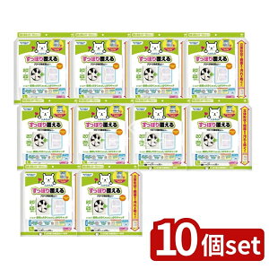 y10Zbgz mA~GR[v_Nc ۂ蕢銷CJo[NEW [Pie/1] | CJo[ mA~ Jo[ ۂ C t ȒP  fUC Vv j