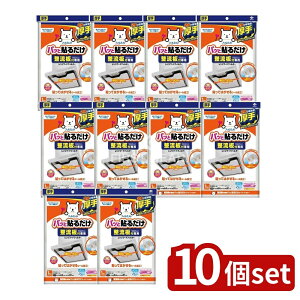 y10Zbgz mA~GR[v_Nc tppbƓ\邾X[p[tB^[ [Pie/1] | Wt[htB^[ mA~ CtB^[  tB^