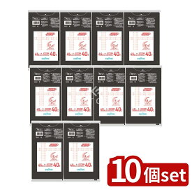 ＼レビュー特典有／【10個セット】 日本サニパック エコノパックエンボス黒45L EP52 [単品内容量/40枚] | 日本サニパック ゴミ袋 エコノパック エンボス 黒 便利 収納 家庭用 環境配慮 清掃用品 リサイクル シンプル 日用品 使い捨て 薄物省資源 タイプ