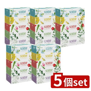 _r[TL^y5Zbgz {NVA XRbeBt[{bNX250W [Pie/5] | XRbeB eBbV t[{bNX XRbeB eBbV eBbVy[p