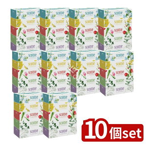 _r[TL^y10Zbgz {NVA XRbeBt[{bNX250W [Pie/5] | XRbeB eBbV t[{bNX XRbeB eBbV eBbVy[p