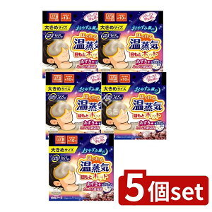 �_���r���[���T�L�^�y5�Z�b�g�z �����A�[�X �����b�N�X�䂽�ۂ� �ڂ��ƃz�b�g �ق���鉷���C �傫�߃T�C�Y [�P�i���e��/1��] | �����b�N�X�䂽�ۂ� �ڂ��ƃz�b�g ���M�p�i ������ �����C 