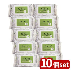 y10Zbgz  NTA-1Ĥ傱Ɛ@p [Pie/80] | EGbgV[g H EGbgeBbV ӂ ڂ AJd  n̉l @V[g 