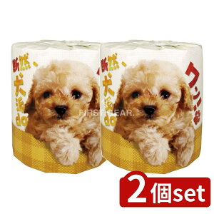 _r[TL^y2Zbgz ѐ fRAhDA! [Pie/1] | fRh gCbgy[p[ ObY gCbg[ Ճvg D gCbg[ ii m